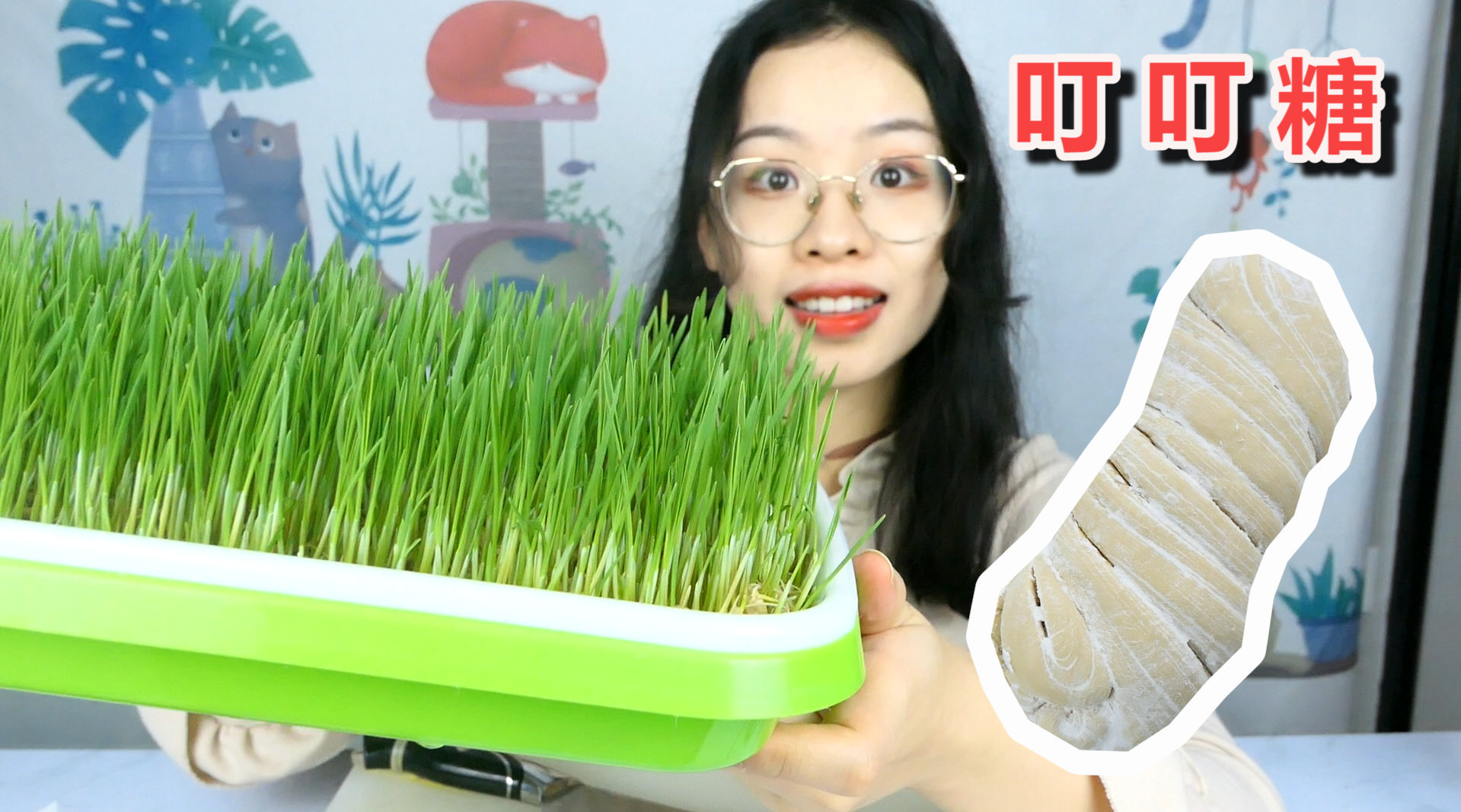 春日限定美食大赏